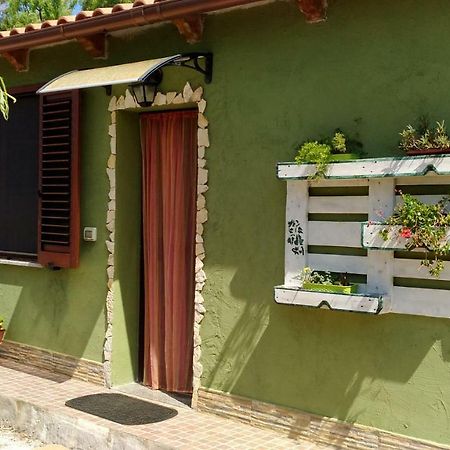 Appartamento Il Salice Casa Minnina Dış mekan fotoğraf