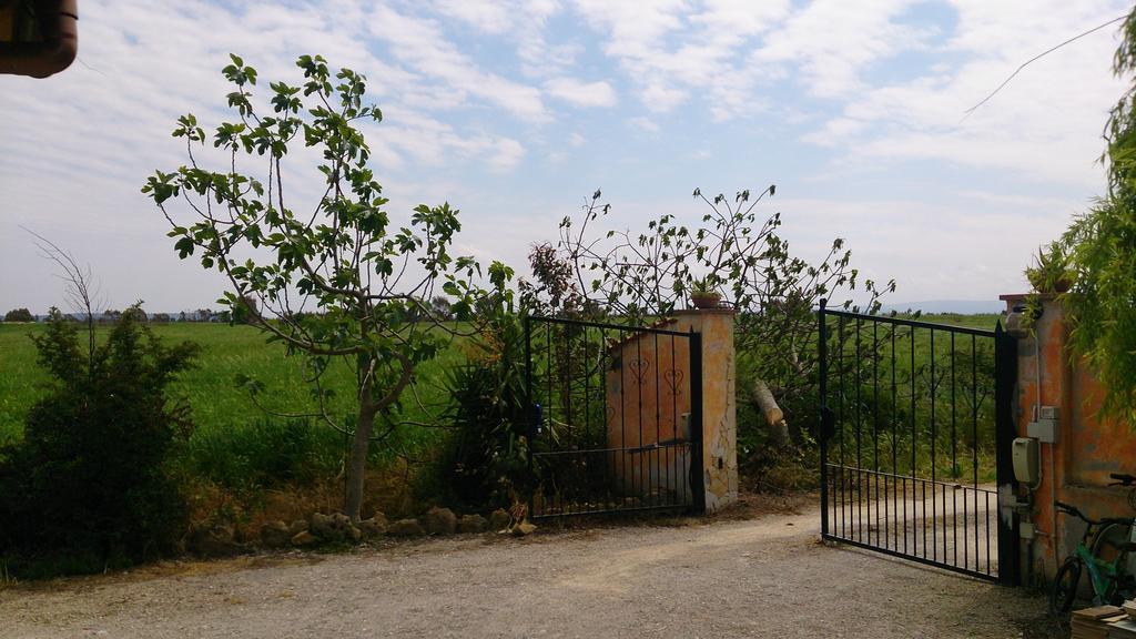 Appartamento Il Salice Casa Minnina Dış mekan fotoğraf